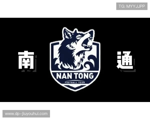 苏超足球队徽服臂章设计探讨与创新分析