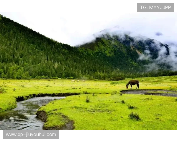 韩国足球金涵出生地揭秘 他是哪个地方的人